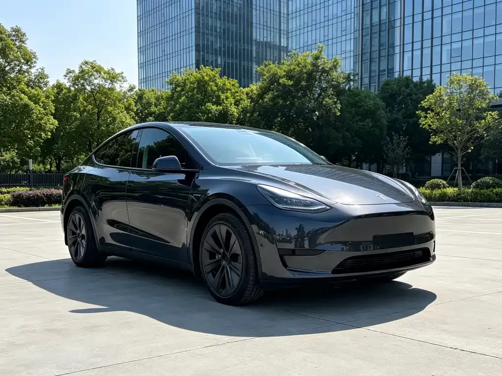 Tesla Model Y — фото 9