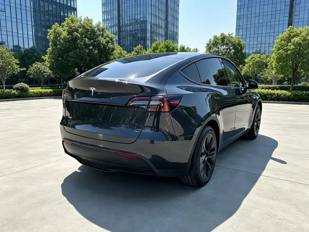 Tesla Model Y — фото 10