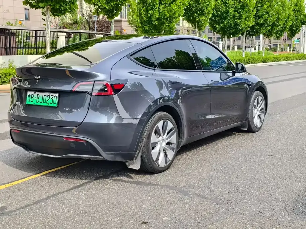 Tesla Model Y — фото 5