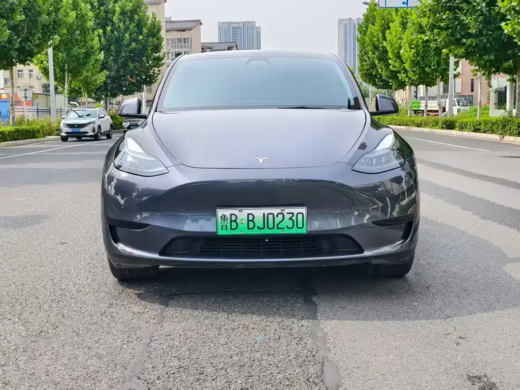 Tesla Model Y — фото 8