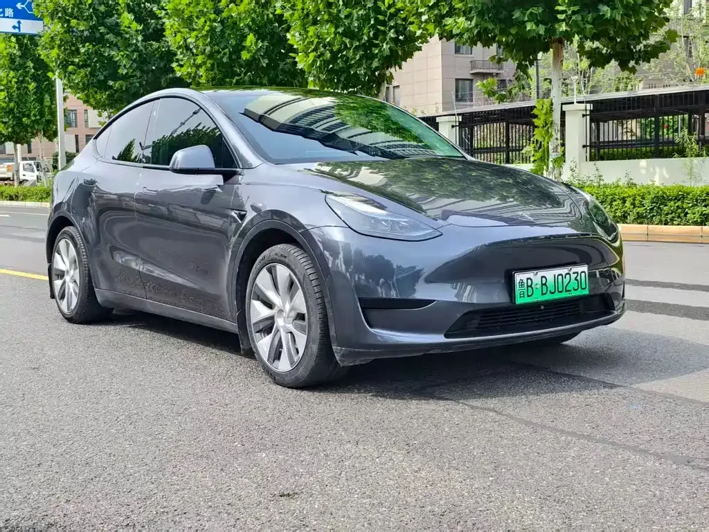Tesla Model Y — фото 10