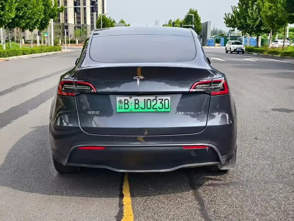 Tesla Model Y — фото 9