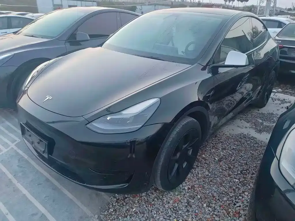 Tesla Model Y — фото 1