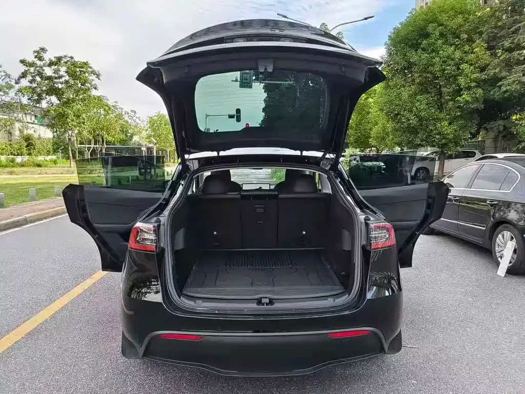 Tesla Model Y — фото 9
