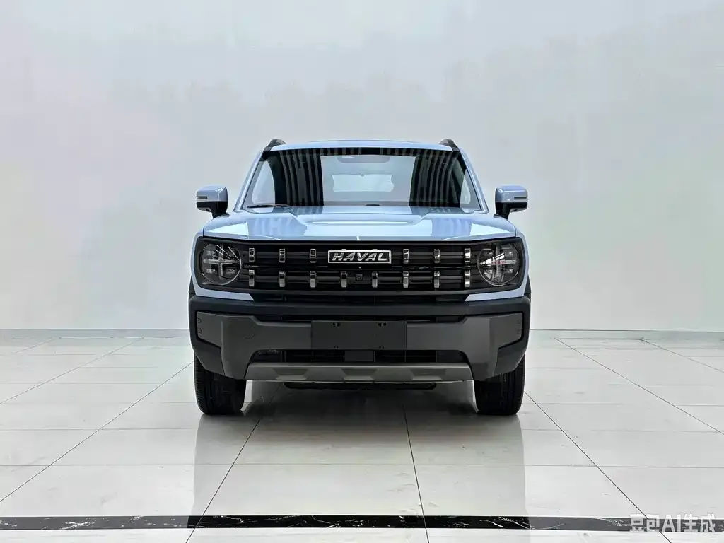 Haval Cool Dog — фото 6