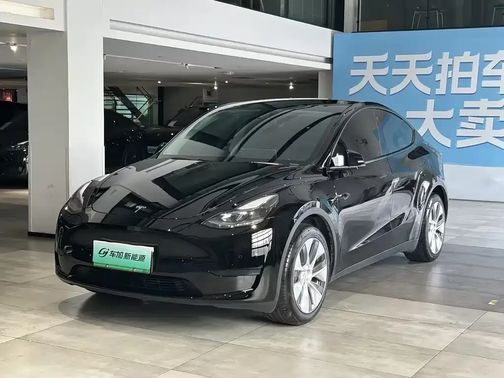 Tesla Model Y — фото 1