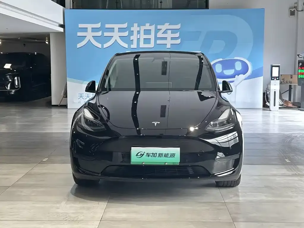 Tesla Model Y — фото 4