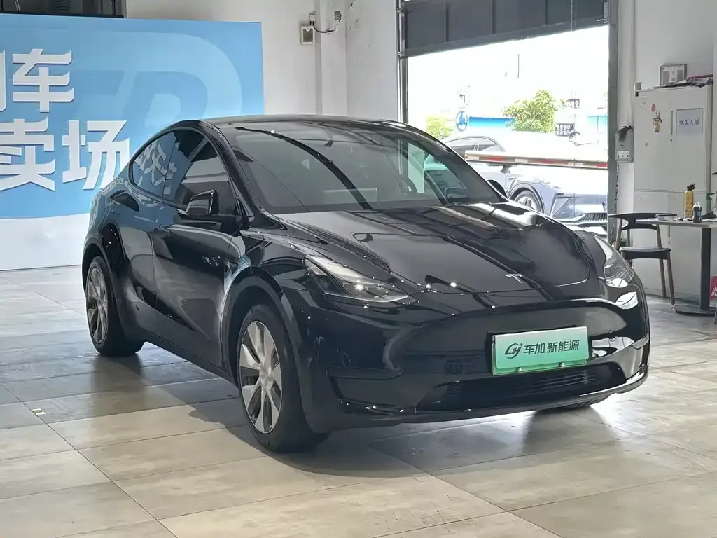 Tesla Model Y — фото 8