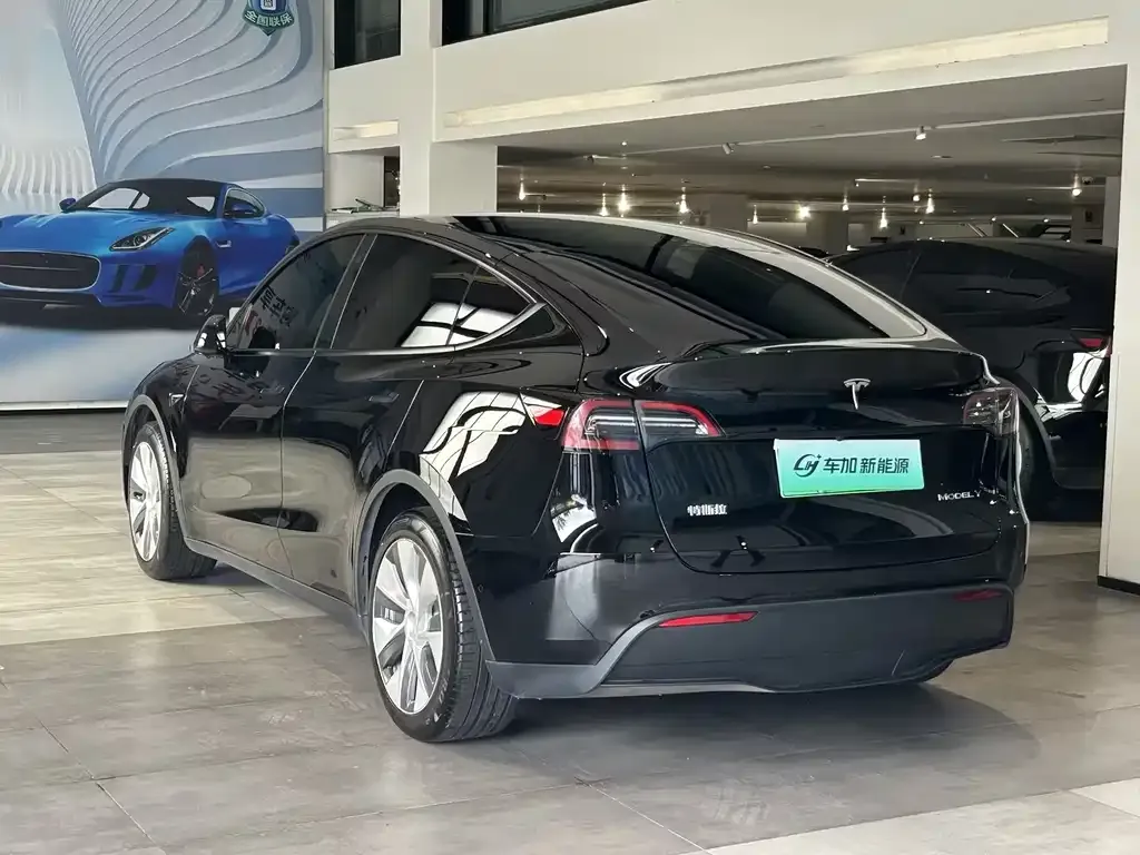 Tesla Model Y — фото 2