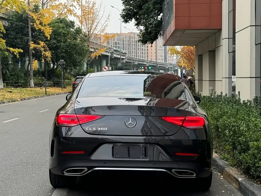 Mercedes-Benz CLS — фото 10