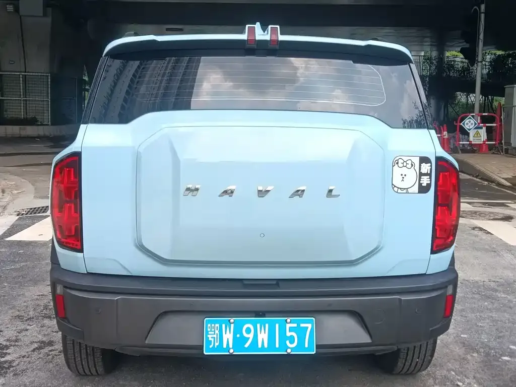 Haval Cool Dog — фото 4