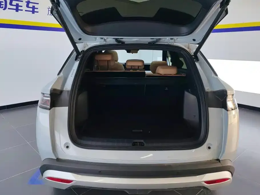 BYD L DM-i — фото 3