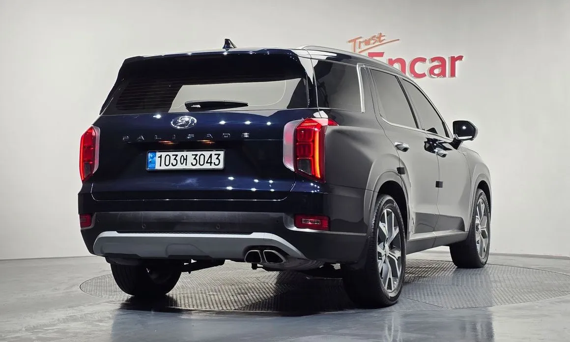 Hyundai Palisade — фото 8