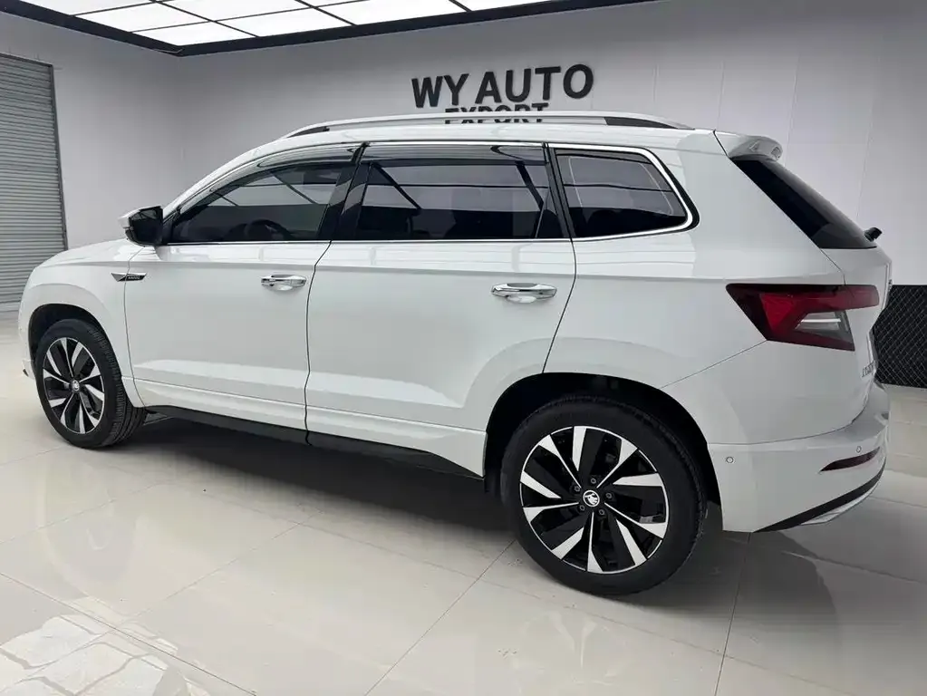 Skoda Karoq — фото 8