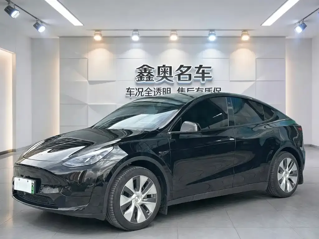 Tesla Model Y — фото 1