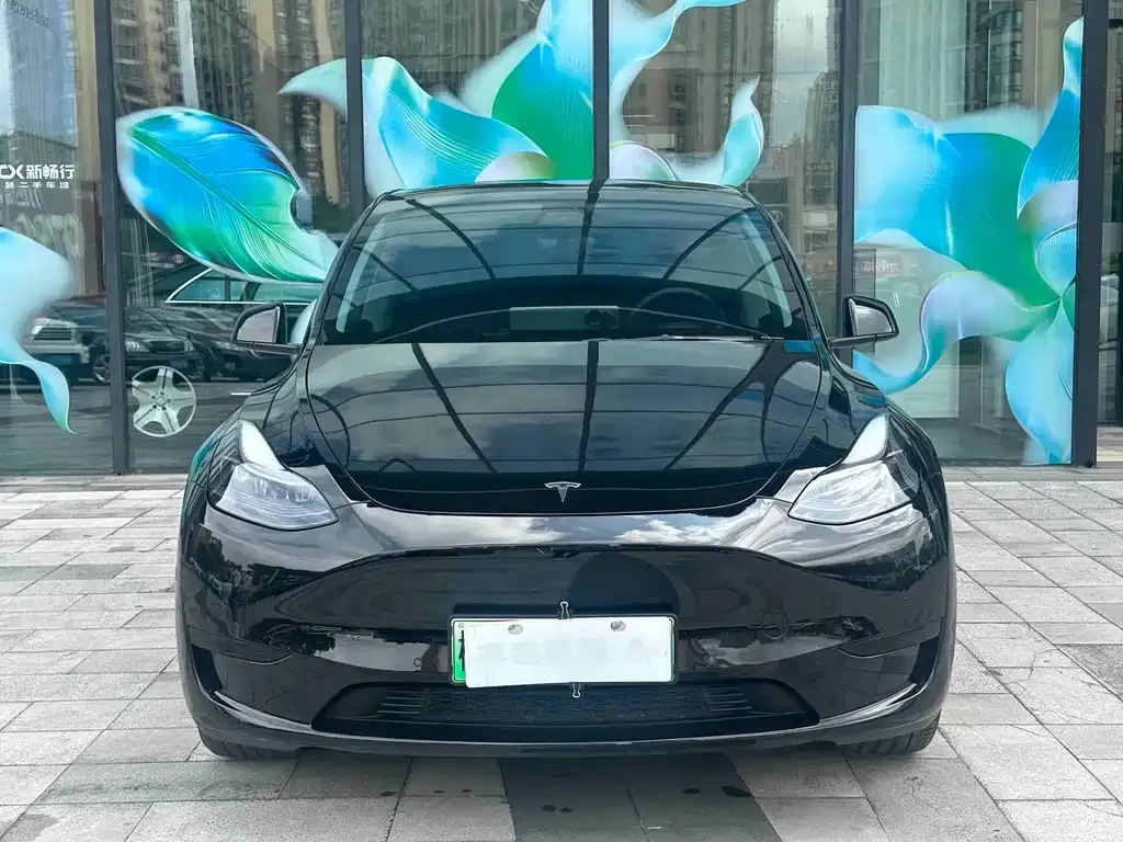 Tesla Model Y — фото 3
