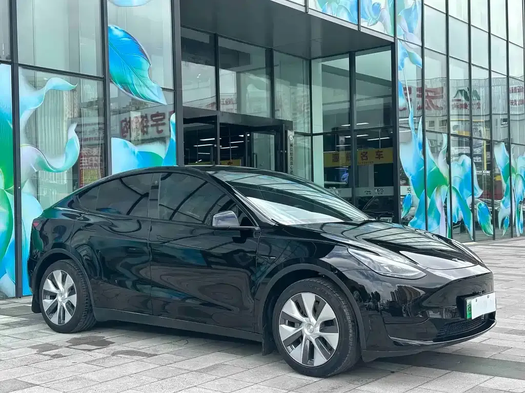 Tesla Model Y — фото 4