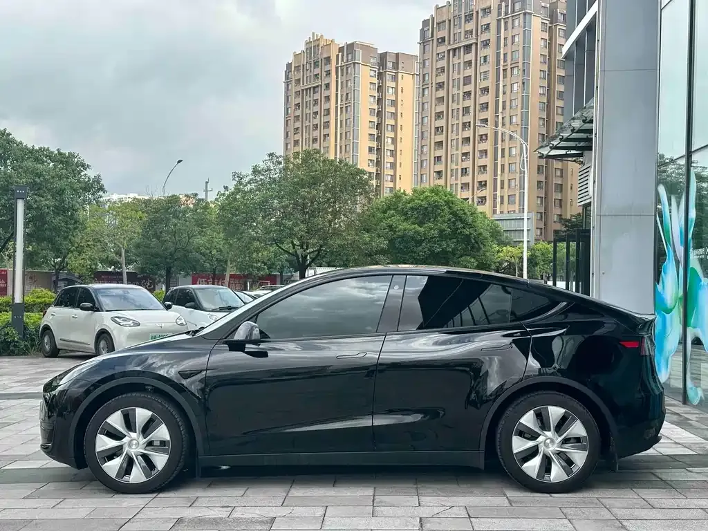 Tesla Model Y — фото 2