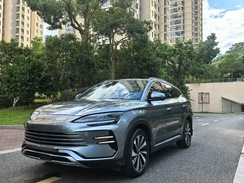 BYD PLUS New Energy — фото 1
