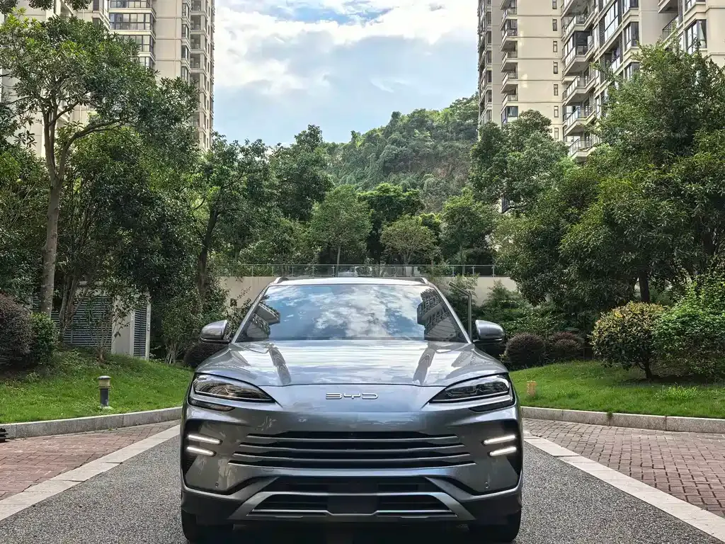 BYD PLUS New Energy — фото 10