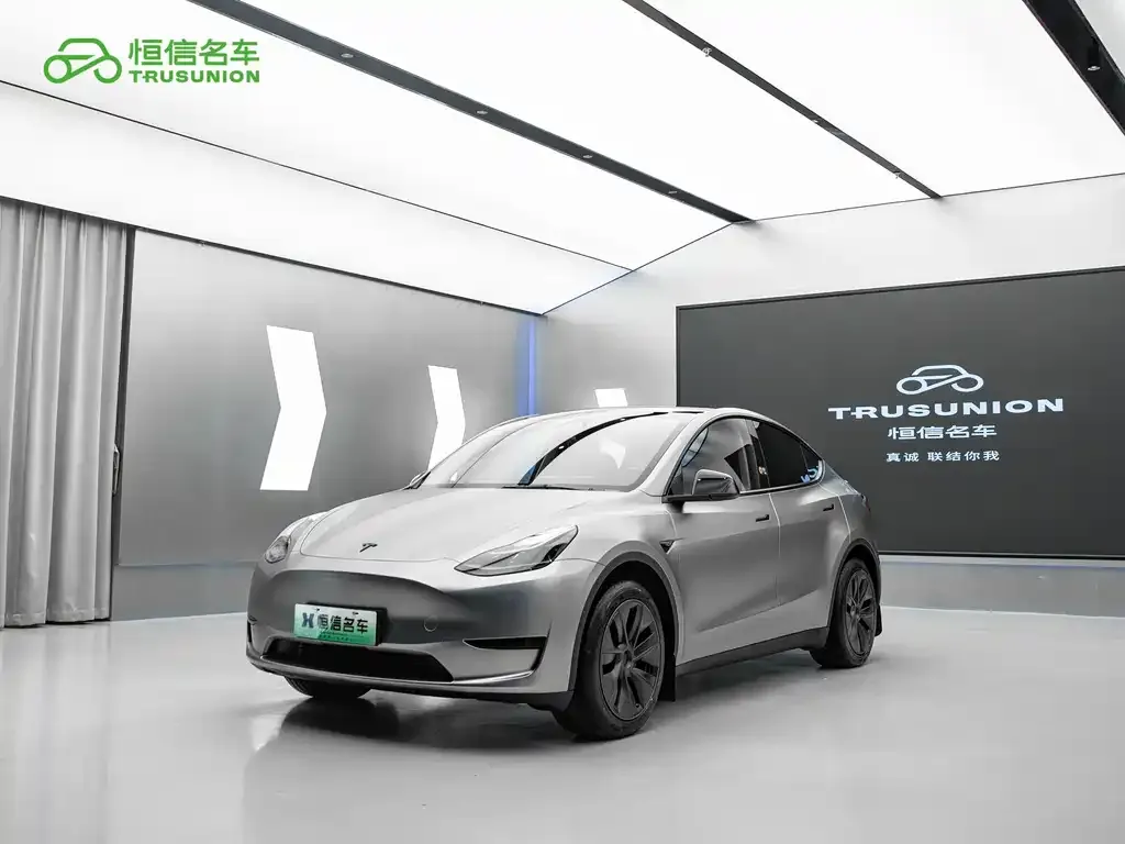 Tesla Model Y — фото 1
