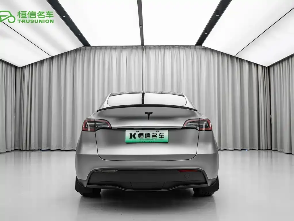 Tesla Model Y — фото 9