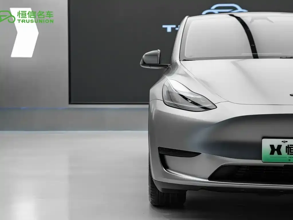 Tesla Model Y — фото 5
