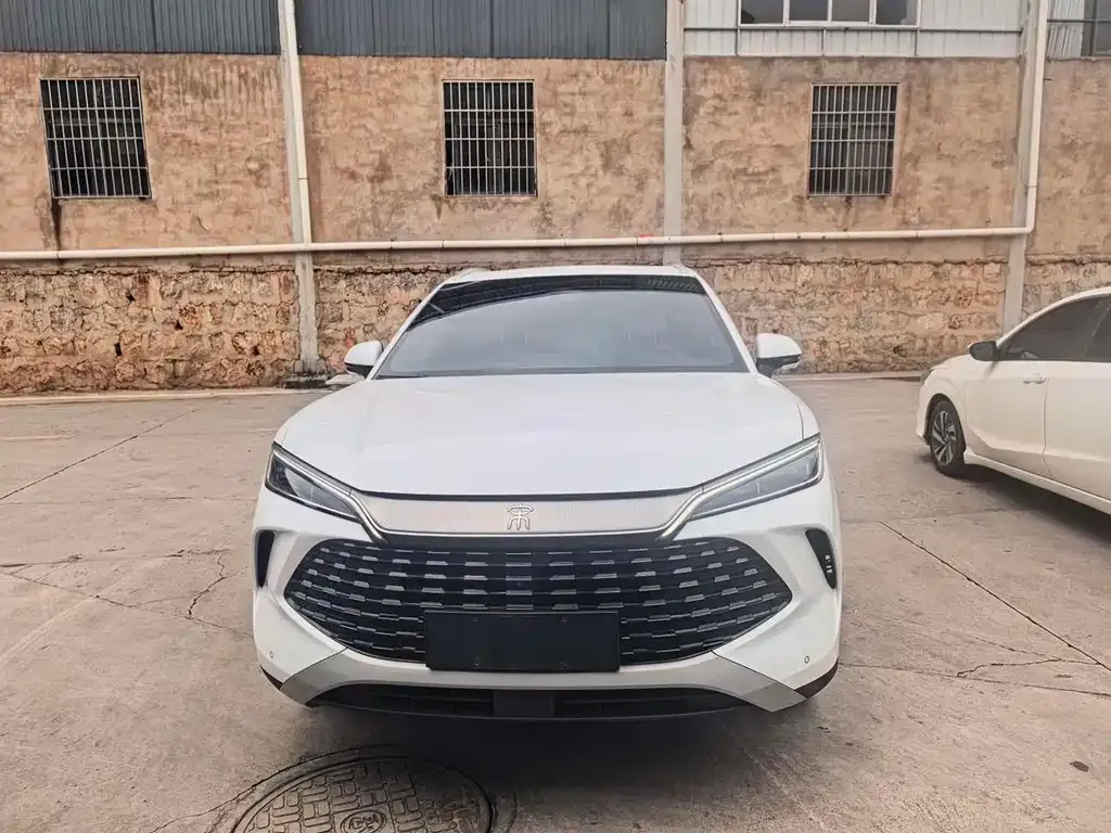 BYD L DM-i — фото 8