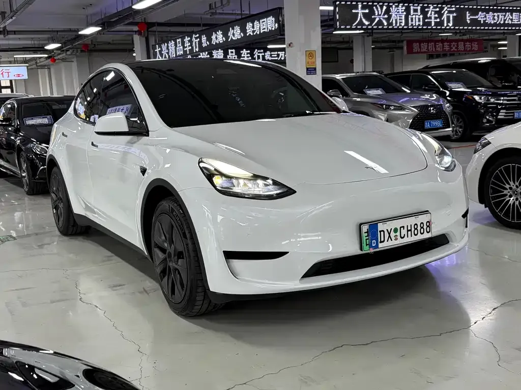 Tesla Model Y — фото 4