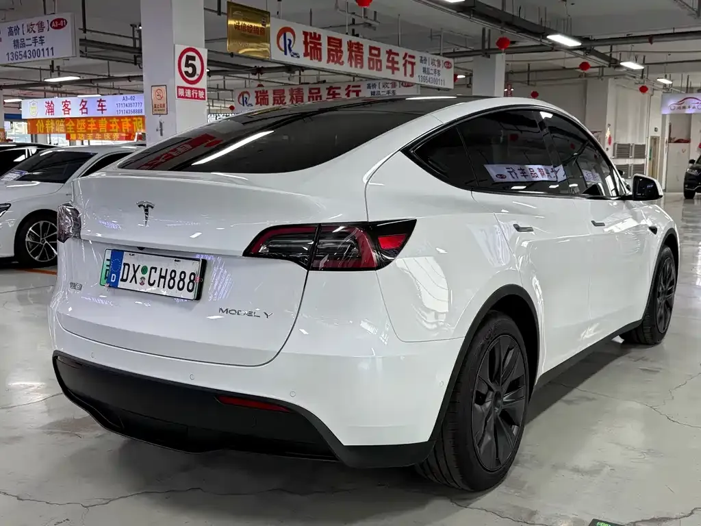 Tesla Model Y — фото 3