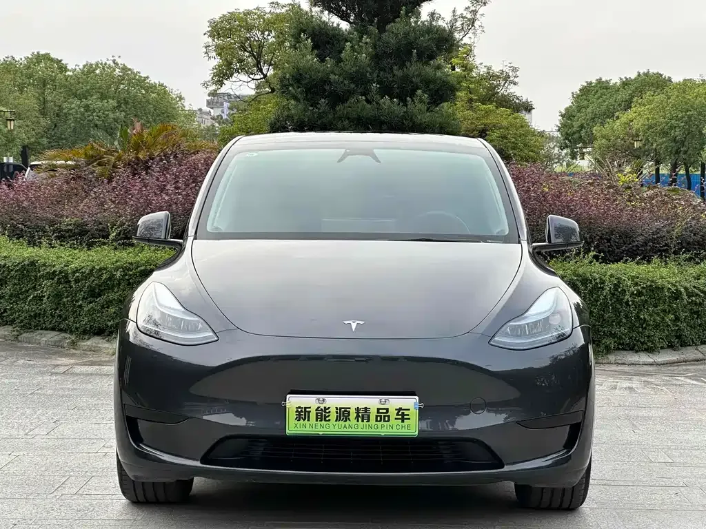 Tesla Model Y — фото 7