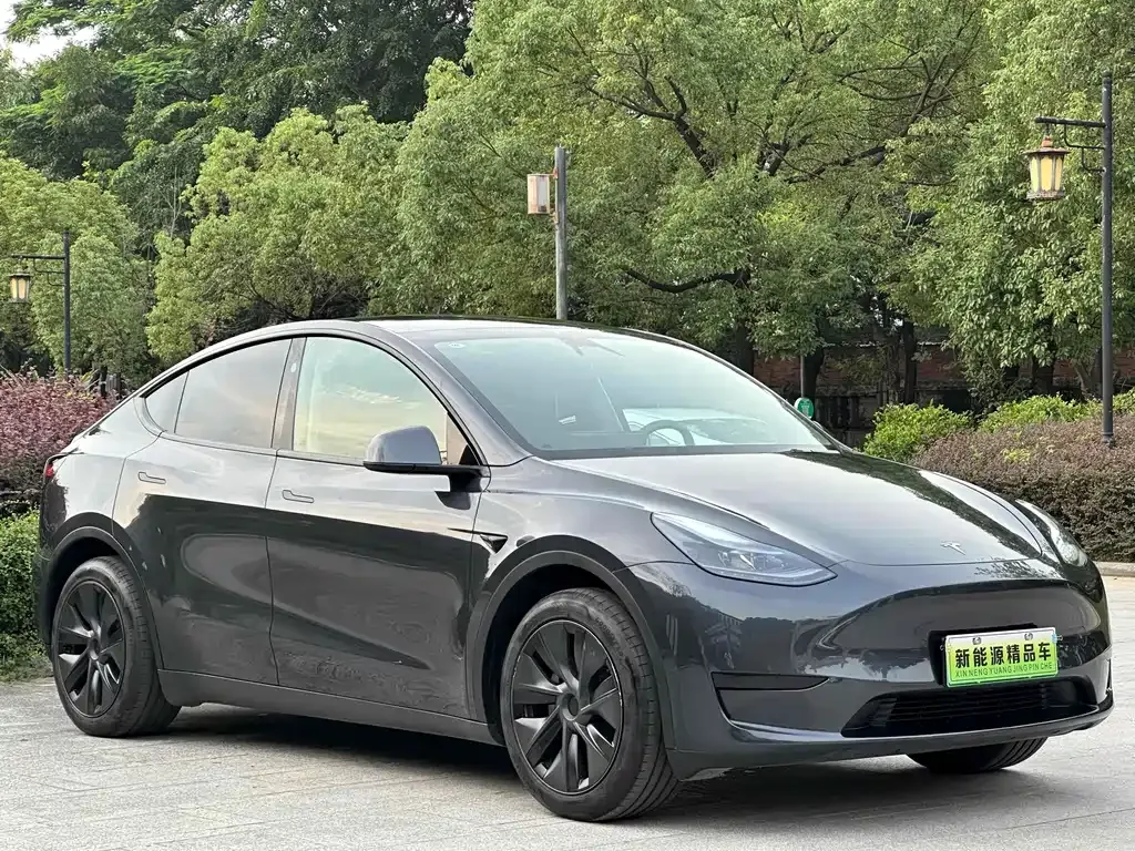 Tesla Model Y — фото 8