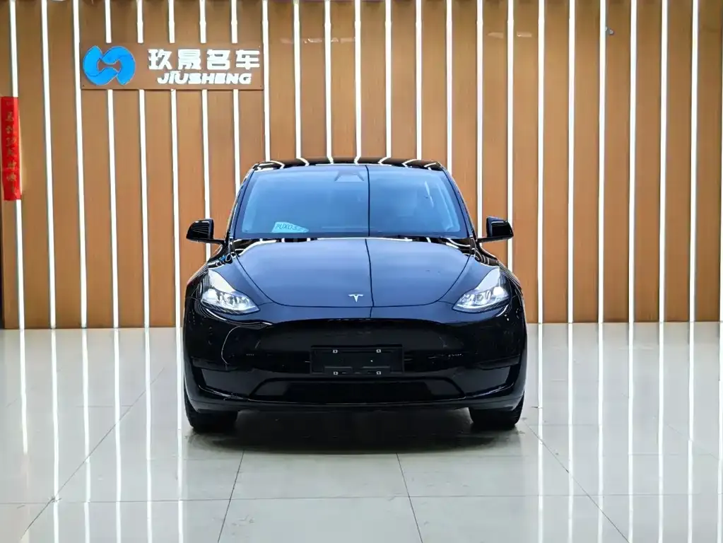 Tesla Model Y — фото 2