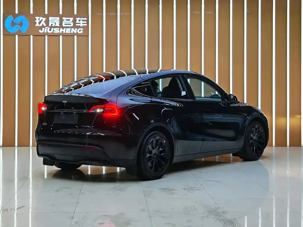 Tesla Model Y — фото 10