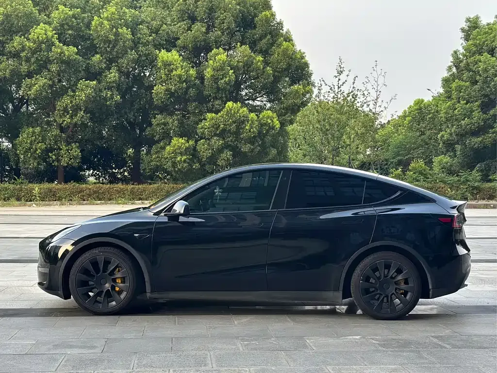 Tesla Model Y — фото 10