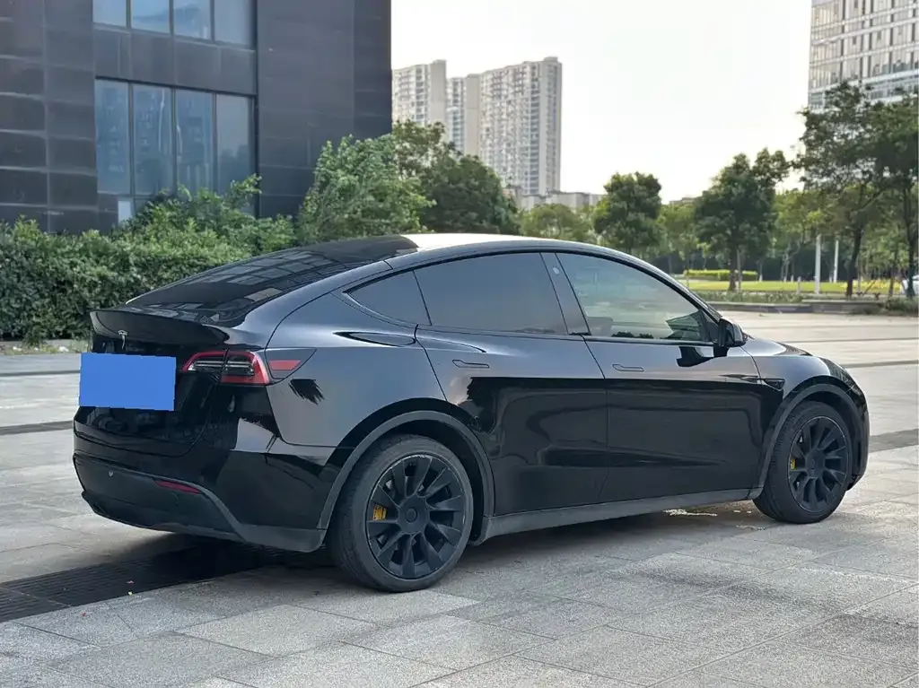 Tesla Model Y — фото 6