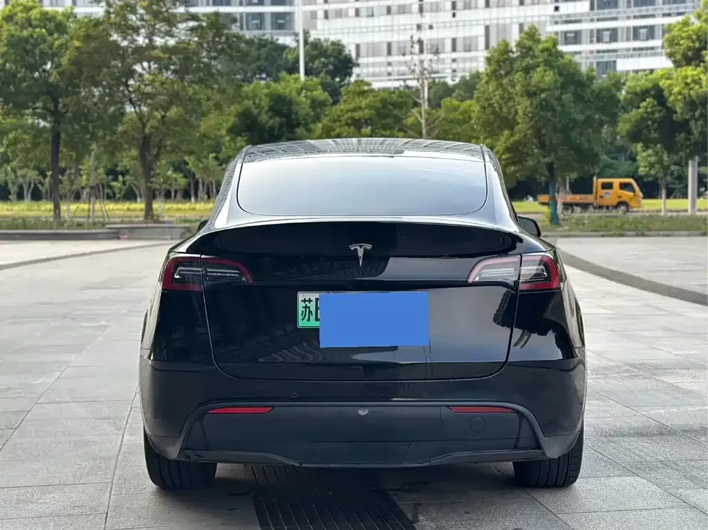 Tesla Model Y — фото 9