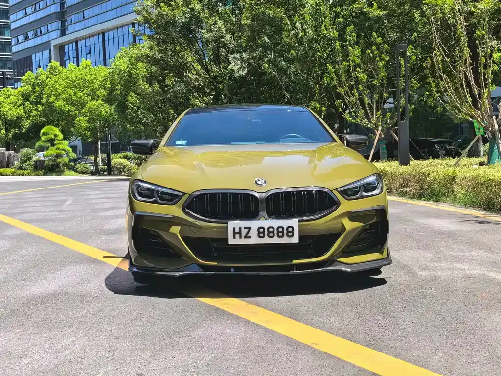 BMW 8 Series — фото 10