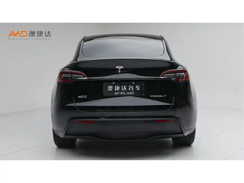 Tesla Model Y — фото 9