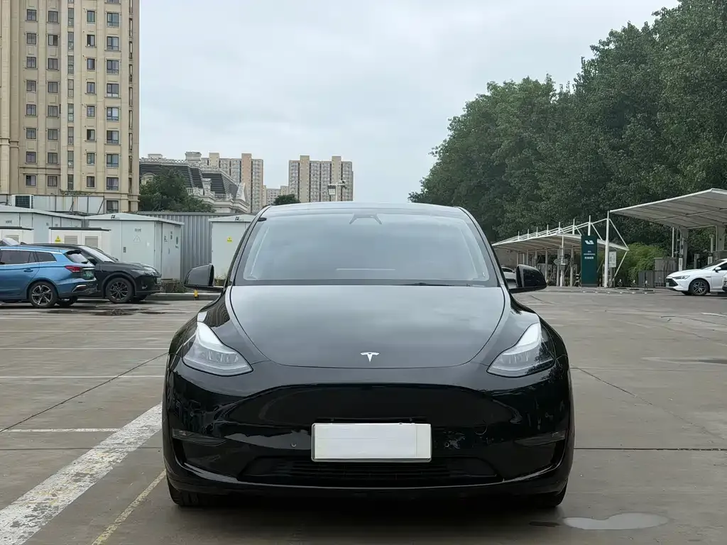 Tesla Model Y — фото 3