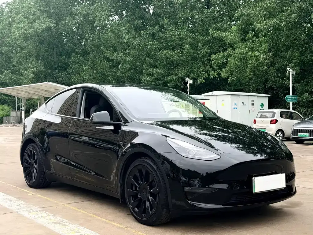 Tesla Model Y — фото 10