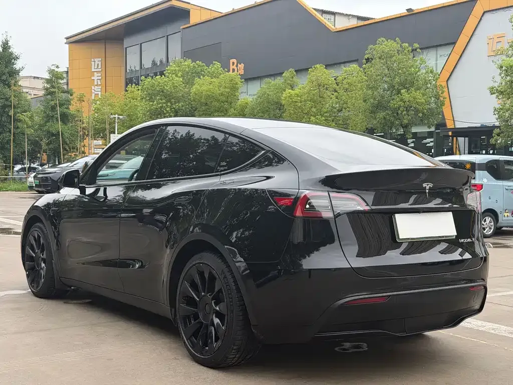 Tesla Model Y — фото 7