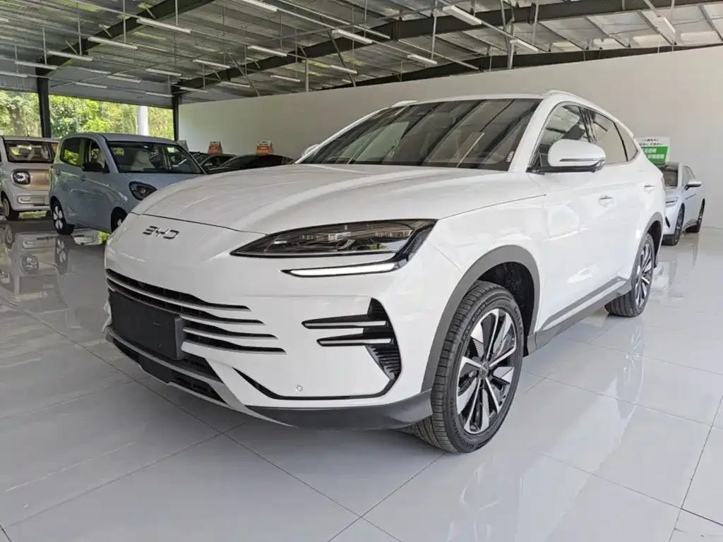 BYD PLUS New Energy — фото 1