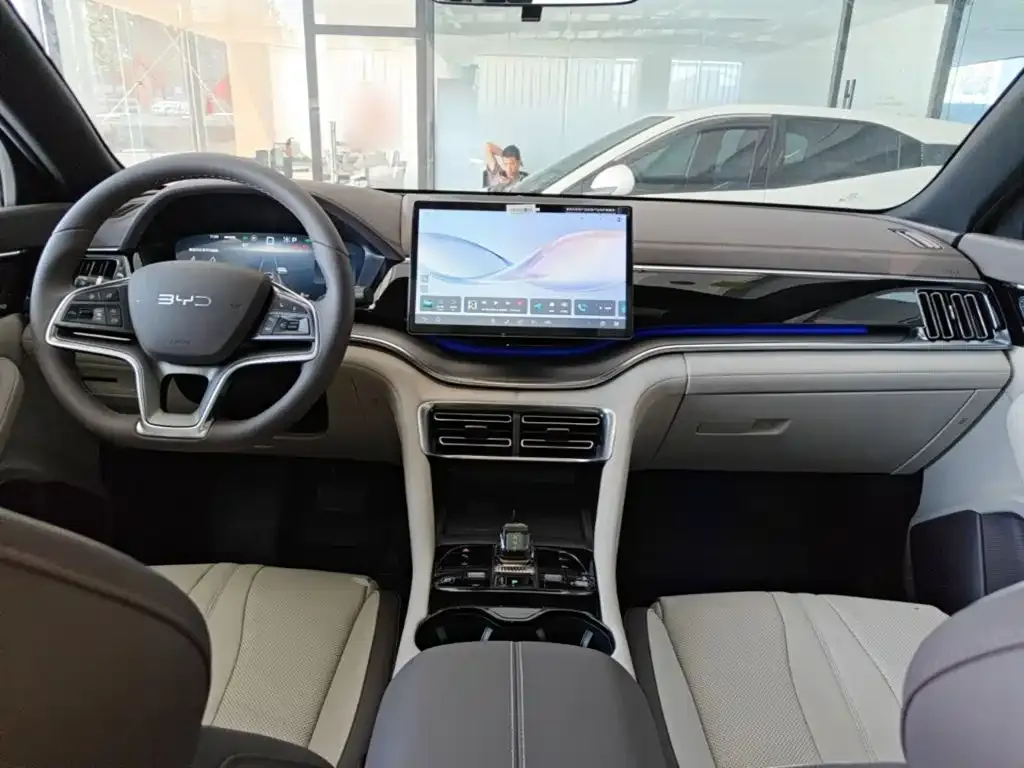 BYD PLUS New Energy — фото 4