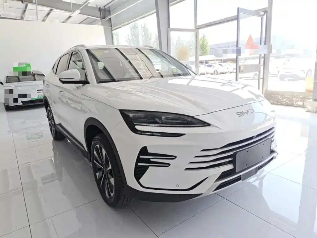 BYD PLUS New Energy — фото 8