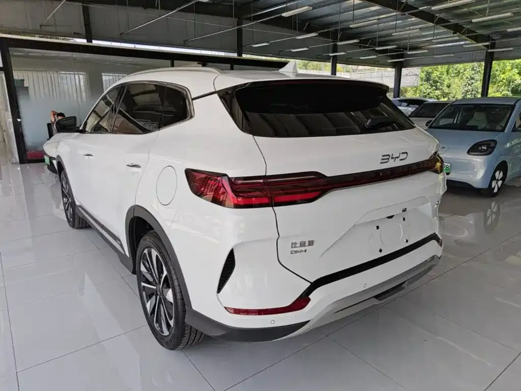 BYD PLUS New Energy — фото 6
