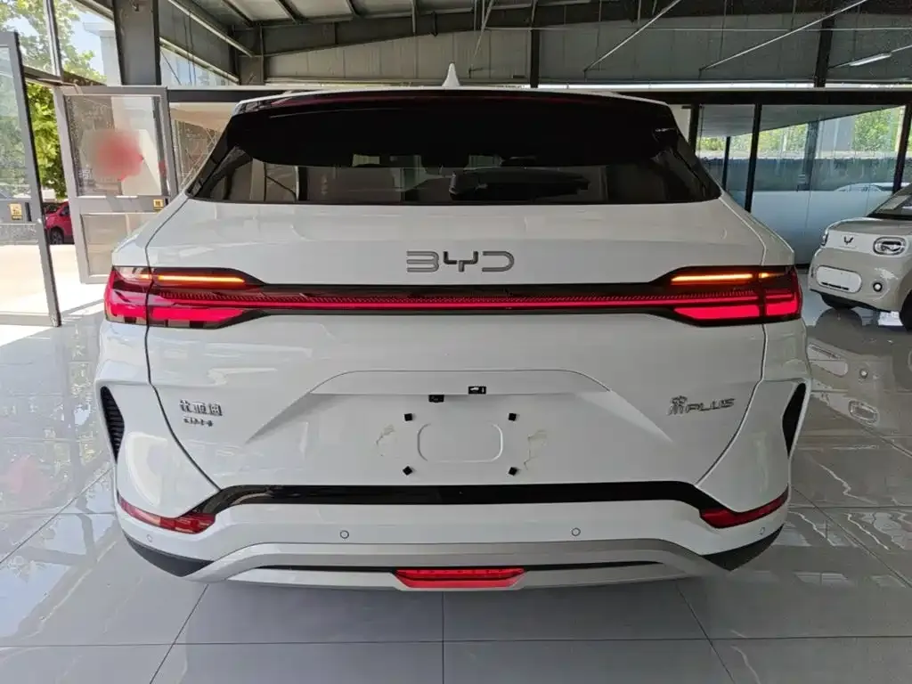 BYD PLUS New Energy — фото 10