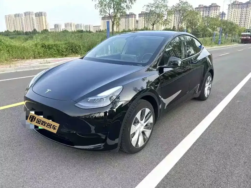 Tesla Model Y — фото 1