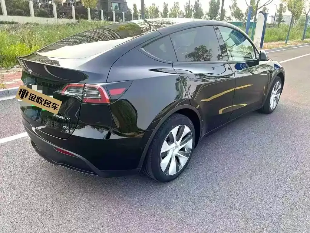 Tesla Model Y — фото 9