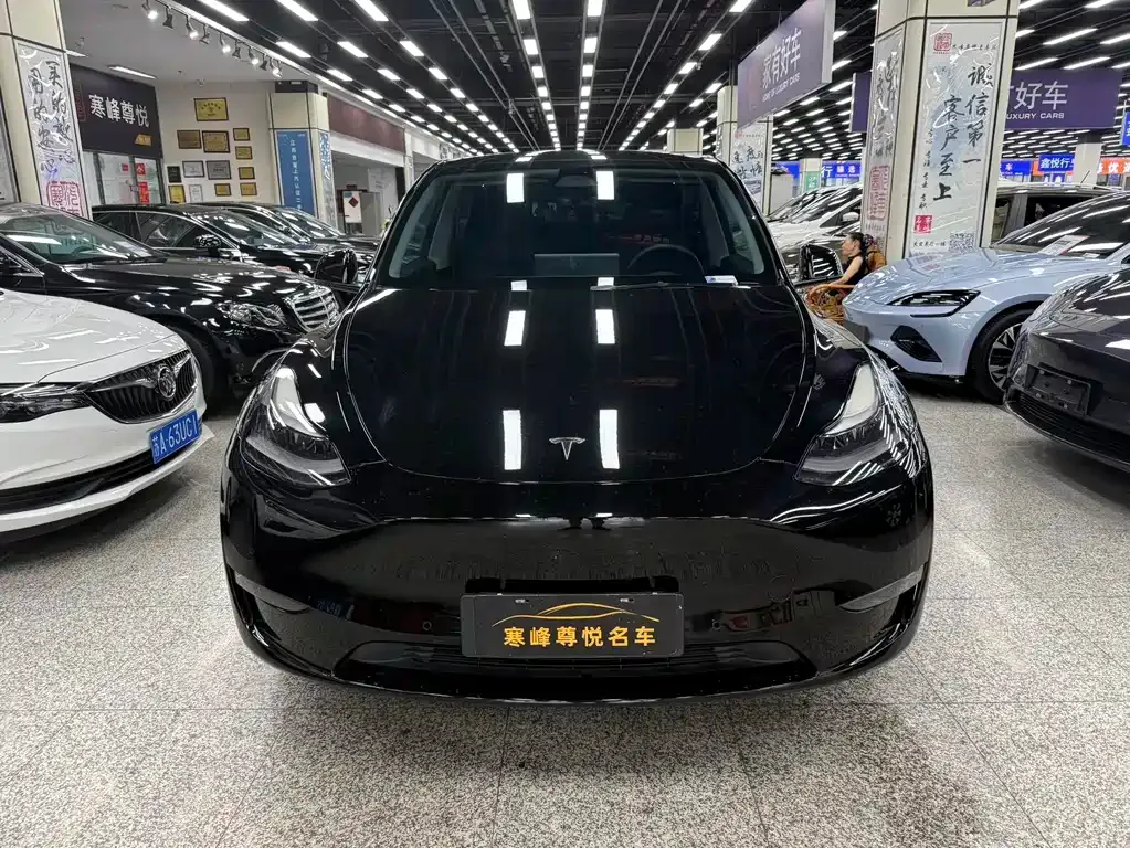 Tesla Model Y — фото 10